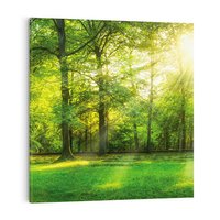 Obraz na płótnie 50x50 - Moc lasu - las, drzewa