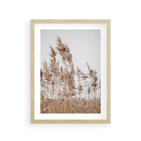 Plakat w ramie 30x40 - Boho Urok - trawy, pampas - rama drewno