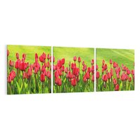 Obraz na płótnie 150x50 - Tulipanowy raj - kwiat, kwiaty