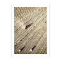 Plakat bez ramy 21x30 - Rolnicza Praca - pole, traktor