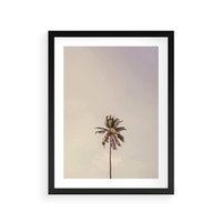 Plakat w ramie 40x50 - Samotna Palma pod Niebem - samotna palma, na tle nieba - rama czarna