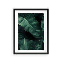 Plakat w ramie 50x70 - Liście Bananowca - minimalizm, zielone liście bananowca - rama czarna