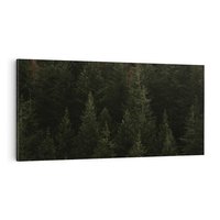 Obraz na płótnie 120x60 - Ciemny las iglasty - las, iglasty