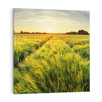 Obraz na płótnie 70x70 - Idylliczna łąka - łąka, natura