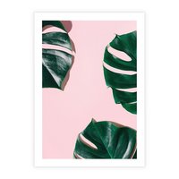 Plakat bez ramy 21x30 - Siła Natury - liście, monstera