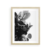 Plakat w ramie 40x50 - Blisko Natury - liście, rośliny tropikalne - rama drewno