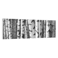 Obraz na płótnie 90x30 - Kontrast Monochromatyczny - brzozy, czarno