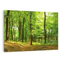 Obraz na płótnie 70x50 - Mistyka leśnych drzew - las, drzewa