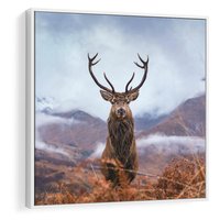 Obraz w ramie 50x50 - Jeleń w Uśpionym Krajobrazie - jeleń na tle gór, ośnieżone góry - rama biała