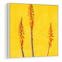 Obraz w ramie 80x80 - Radość Natury - kolor, kwiaty - rama biała