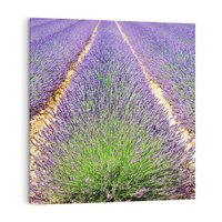 Obraz na płótnie 30x30 - Lawendowy kwiat - lawenda, kwiat