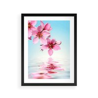 Plakat w ramie 50x70 - Magia kwitnącej wiśni - kwitnąca, wiśnia - rama czarna