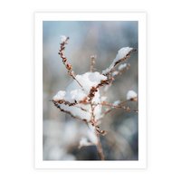 Plakat bez ramy 50x70 - Zimowy Urok Natury - gałązki pod śniegiem, natura
