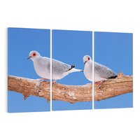 Obraz na płótnie 120x80 - Gołębie w locie - gołębie, gołąb