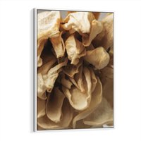 Obraz w ramie 70x100 - Zjawiskowe zasuszone kwiaty - zasuszone, kwiaty - rama biała