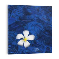 Obraz na płótnie 60x60 - Kwiaty wodne delikatność natury - kwiat, woda