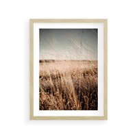 Plakat w ramie 30x40 - Sucha Trawa w Odcieniach Sepii - suche trawy, łąka odcienie beżu - rama drewno