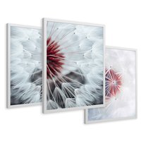 Zestaw obrazy w ramie 50x70 galeria - Dmuchawiec, nowoczesny, minimalizm - rama biała