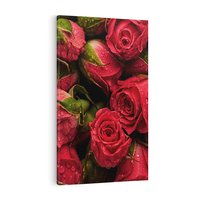 Obraz na płótnie 50x70 - Piękno róż: delikatność natury - róże, kwiaty