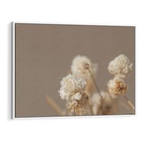 Obraz w ramie 100x70 - Przezroczyste piękno - gipsówka, suche - rama biała