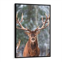 Obraz w ramie 70x100 - Monarcha Zimowej Dziczy - jeleń, zima - rama czarna