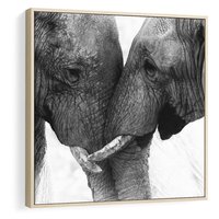 Obraz w ramie 50x50 - Spotkanie Mądrości - fotografia czarno biała, dwa słonie - rama drewno