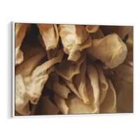 Obraz w ramie 120x80 - Zjawiskowe zasuszone kwiaty - zasuszone, kwiaty - rama biała