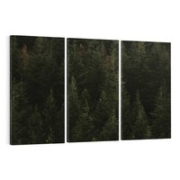 Obraz na płótnie 120x80 - Ciemny las iglasty - las, iglasty