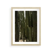 Plakat w ramie 30x40 - Wyjątkowy Klimat Boho - kaktusy, pustynia - rama drewno