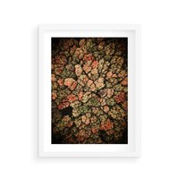 Plakat w ramie 40x50 - Jesień z Lotu Ptaka: Malowniczy Las - las jesienią z lotu ptaka - rama biała