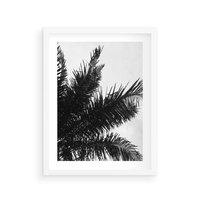 Plakat w ramie 50x70 - Czas Zapomnienia - palmy, czarno biała fotografia - rama biała