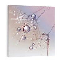 Obraz na płótnie 40x40 - Delikatne Natchnienie - krople, dmuchawce