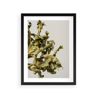 Plakat w ramie 50x70 - Odejście pory deszczowej - suche, trawy - rama czarna