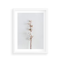 Plakat w ramie 30x40 - Minimalistyczna Gałązka Bawełny - bawełna, gałązka bawełny - rama biała