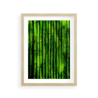 Plakat w ramie 30x40 - Bambusowy urok zielonej harmonii - bambus, zieleń - rama drewno