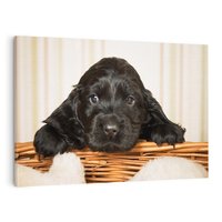 Obraz na płótnie 100x70 - Uroczy szczeniak w akcji - piesek, szczeniak