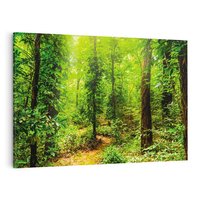 Obraz na płótnie 100x70 - Współistnienie z naturą - drzewa, las