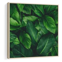 Obraz w ramie 80x80 - Palma Liście Kwiat - palma, liście - rama drewno