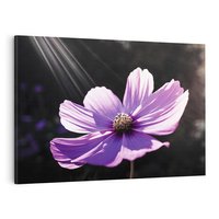 Obraz na płótnie 100x70 - Kwiatowy taniec natury - kwiat, kwiaty