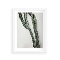 Plakat w ramie 40x50 - Zielona Roślina z Liśćmi - zielona roślina, liście - rama biała