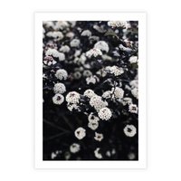 Plakat bez ramy 21x30 - Białe Kwiaty na Kwitnącym Krzewie - białe kwiaty, kwitnący krzew