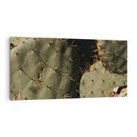 Obraz na płótnie 100x50 - Urok Egzotyki - kaktusy, boho