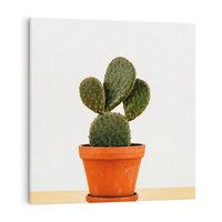 Obraz na płótnie 70x70 - Kwiatowy taniec kaktusa - kaktus, kwiat