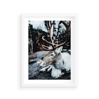 Plakat w ramie 40x50 - W Zimowej Krainie - renifer, zima - rama biała