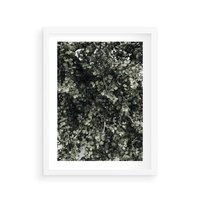 Plakat w ramie 40x50 - Jasnozielone Liście i Gałązki - liście, gałązki - rama biała