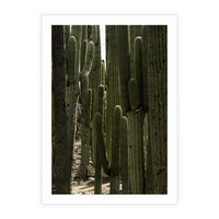 Plakat bez ramy 21x30 - Wyjątkowy Klimat Boho - kaktusy, pustynia