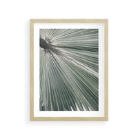 Plakat w ramie 30x40 - Jasnozielony Świat - palma, liść - rama drewno