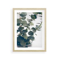 Plakat w ramie 40x50 - ukaliptusowa Harmonia - liście eukaliptusa - rama drewno