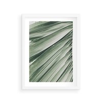 Plakat w ramie 40x50 - Tropikalna Oaza - zielony liść palmy, zieleń - rama biała