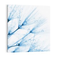 Obraz na płótnie 50x50 - Kwiat w kroplach wody - kwiat, krople